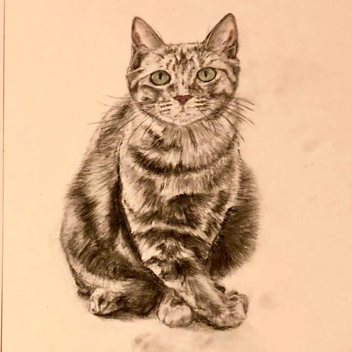 3b8a13c4 2e44 4c7f ae8e 4c19fc21be42 1539703048358