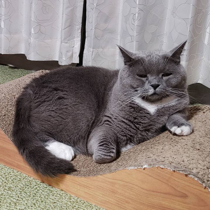 3b8a37fb e83c 47b0 9f39 97e144a61f22 1661260938855