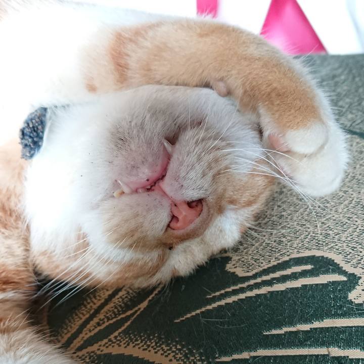 3b8a5590 ad87 4bbe 9e39 21a0e1f24897 1567311780351