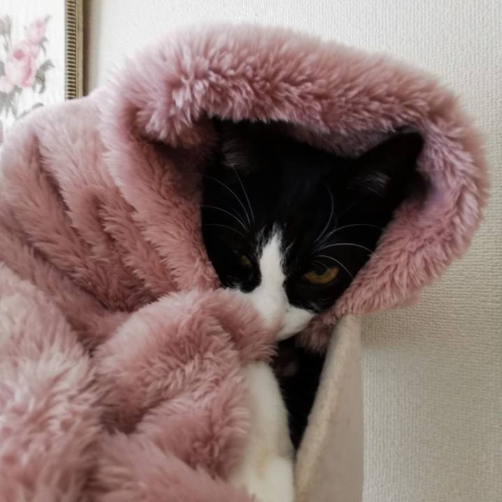 3b8a61fb 977d 49d3 8197 e249625d561e 1701748884351