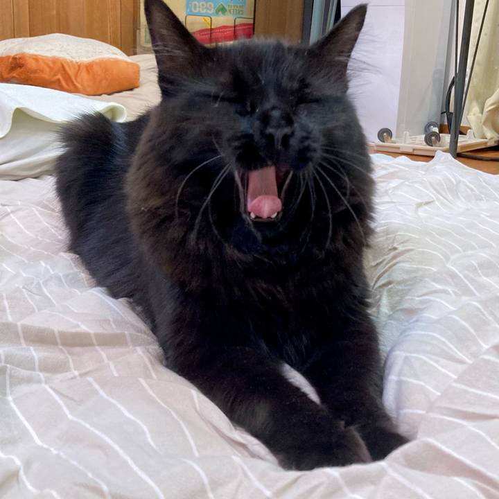 3b8a8663 c836 43cf b501 c07de6991219 1753873644185