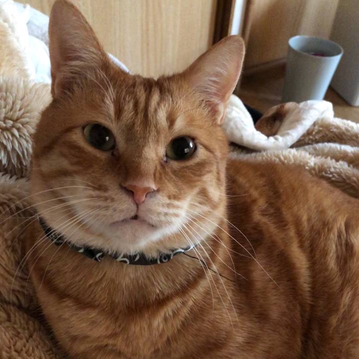 3b8af13f f6bd 42e2 a902 ed976e366afa 1588189948585