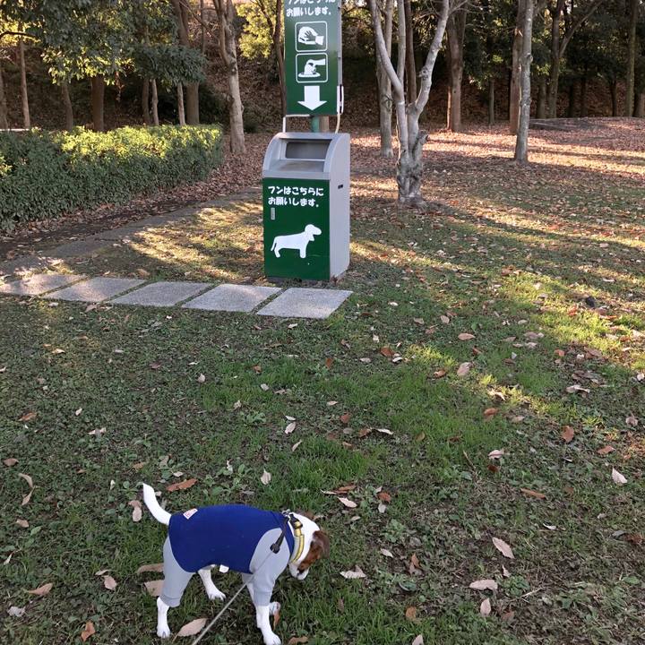 3b8b39e6 9c91 4667 9ee7 f88b5e48f995 1544678502947