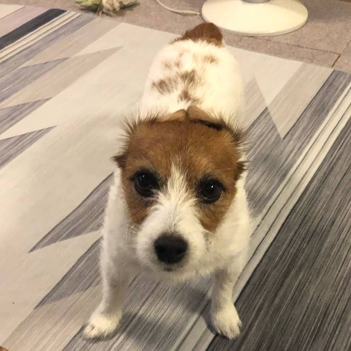 3b8b60c5 831d 41ca 8c39 ce3c6b033019 1591829074704