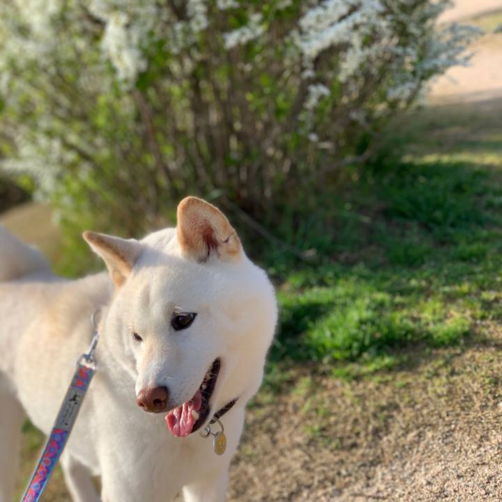 3b8b7fa7 54a2 4910 acb2 ea8863b62335 1616026966432