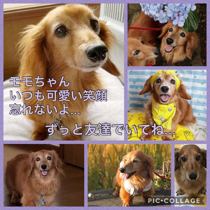 3b8b8123 86e2 47d9 95c5 4ab06adbd75d 1598441691811