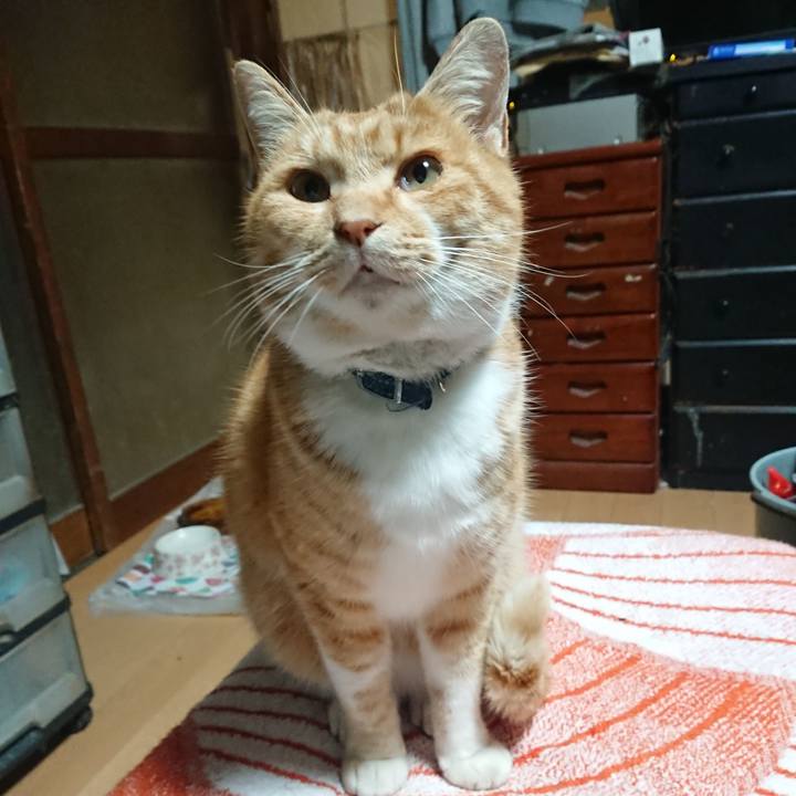 3b8b8391 b8e1 4303 839d 20cef5b82d78 1607112916069