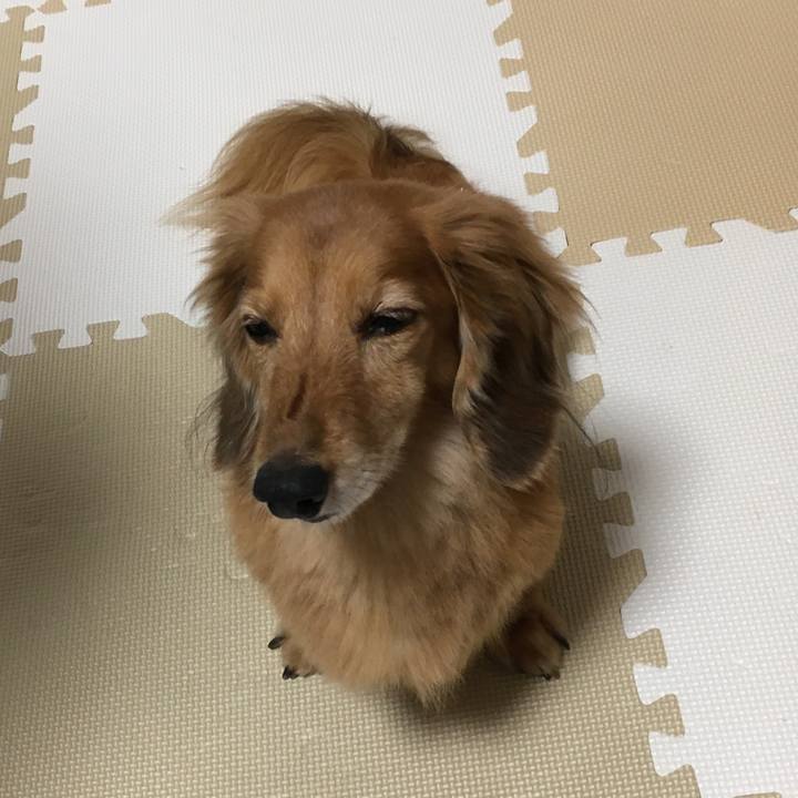 3b8bcafe 426e 4511 a3f7 52233dd4e496 1623851658076