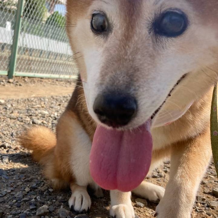 3b8c3786 15e5 424c 999c 092282f6c599 1690347352957