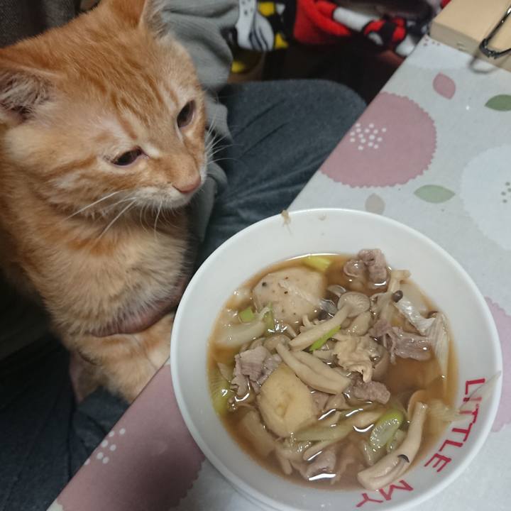 3b8c6f51 2f46 4565 9926 d1ea530f4add 1633692392688