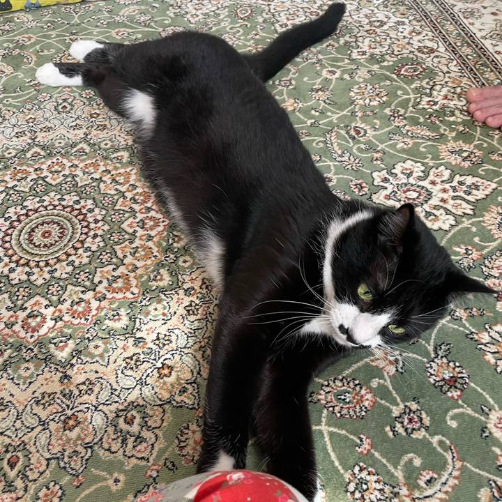 3b8c978c 070a 4d16 801c b0705bfd0d18 1714874499676