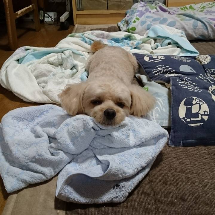 3b8c97aa b230 4ed0 993e 32bd15bfc4fb 1569331229950