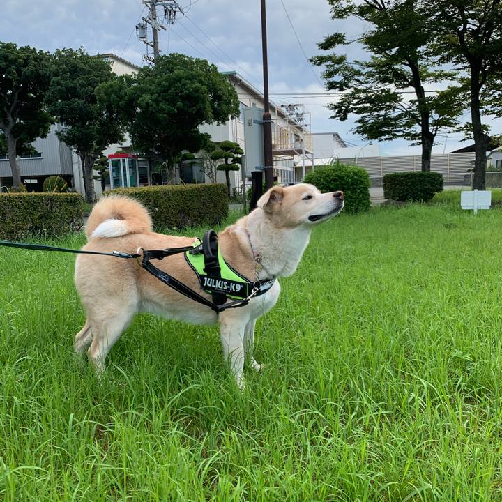 3b8cc9d7 48fa 4faf 93a3 88201c8bac01 1600644539942