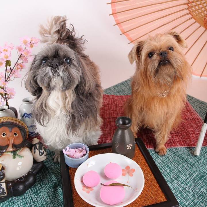 3b8cec7d 7140 43e4 b9ed 29cb68eda7f2 1614780935538