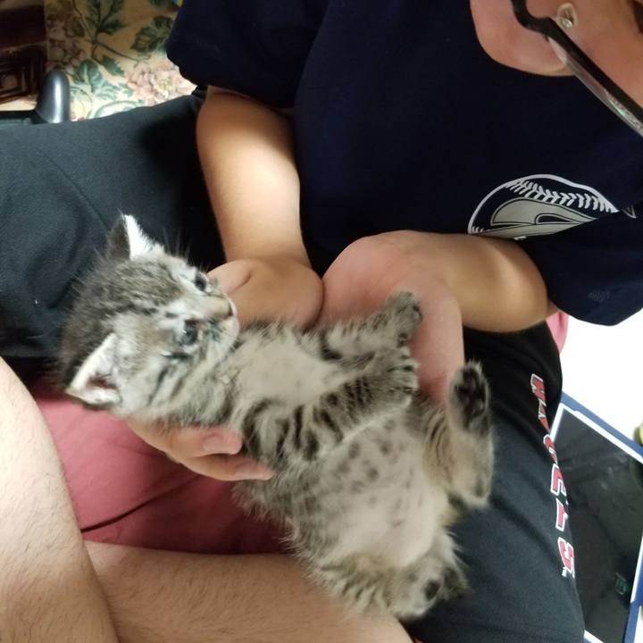 3b8d0d29 ff28 4cb1 9b16 616819f1674a 1660575398039