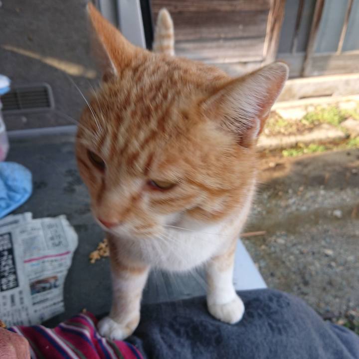 3b8d14e9 b107 4028 af33 304984762a87 1584861932585