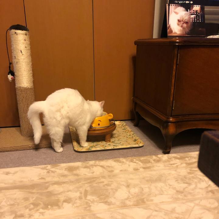 3b8d7f96 69fe 4d6b 94a4 ea7886c2f5ae 1551610367553