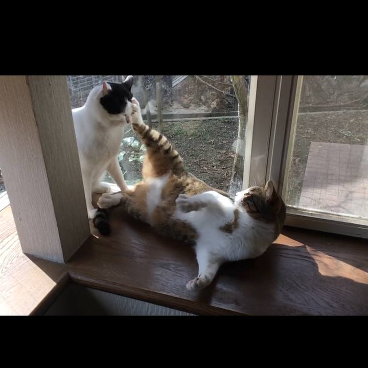 3b8db202 0d59 4528 a0f9 b881e27b0463 1523880138051