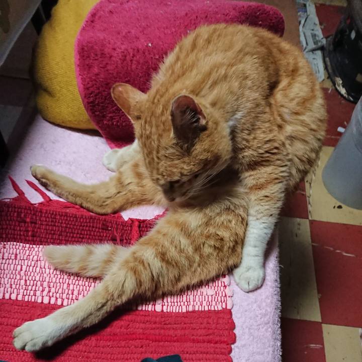 3b8db930 e5c7 45c8 99bf 5b57348df80d 1554153256271