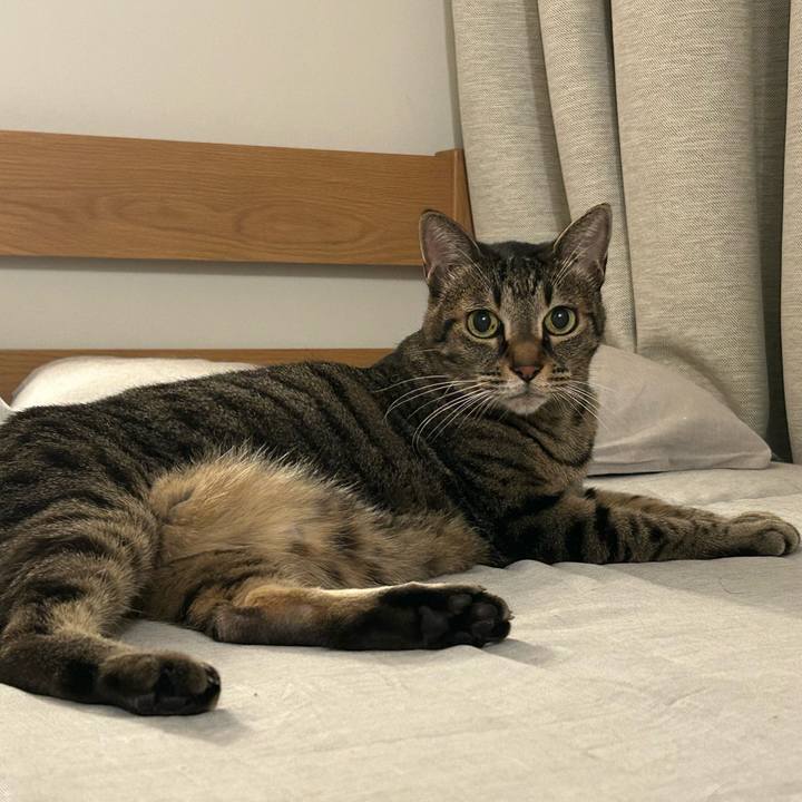 3b8db93c e977 4742 815a 289944388680 1757599803437