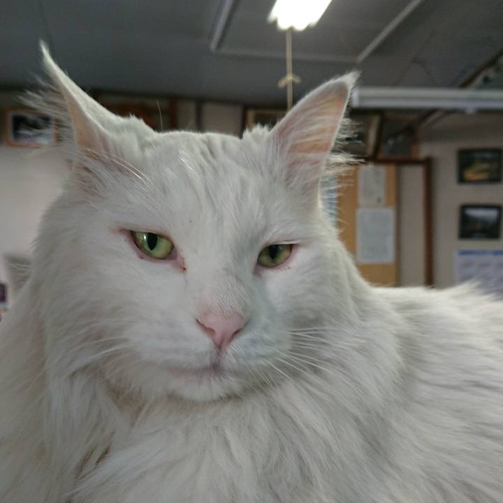 3b8dbb00 a20f 4dc4 9191 1bc7bdbf6c5d 1559168699236