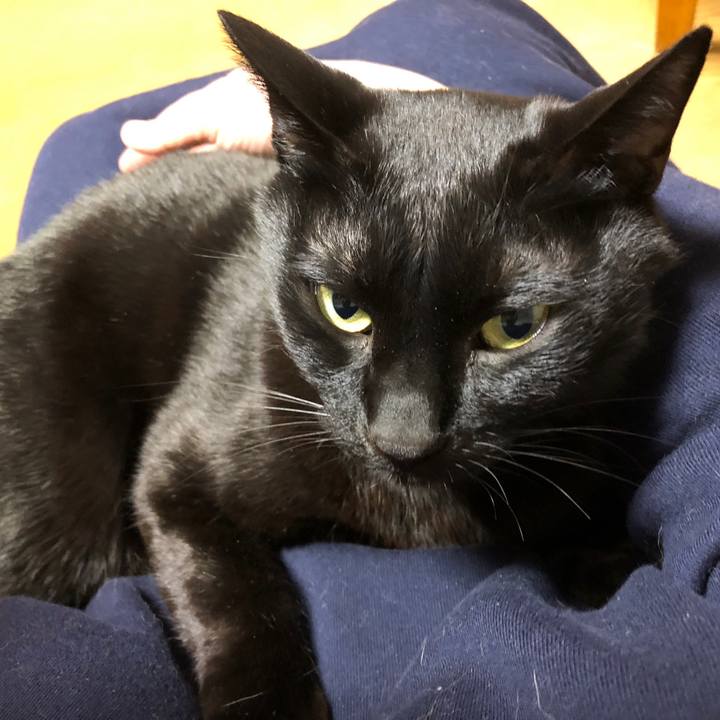 3b8ddbcf ad04 4a18 8ce1 f44b43571f37 1712055187282