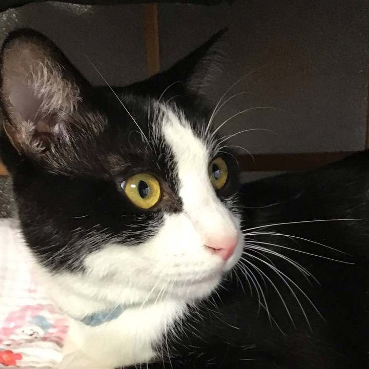 3b8e6582 d62a 40cd b570 607b153a9d16 1663408873710