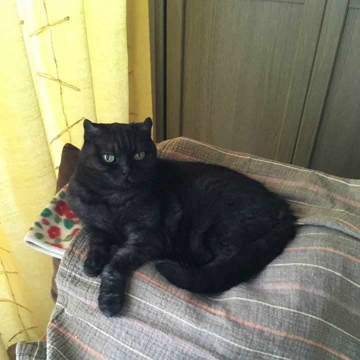 3b8ea1bc dadc 4572 b904 51674b22a4f8 1536186382970