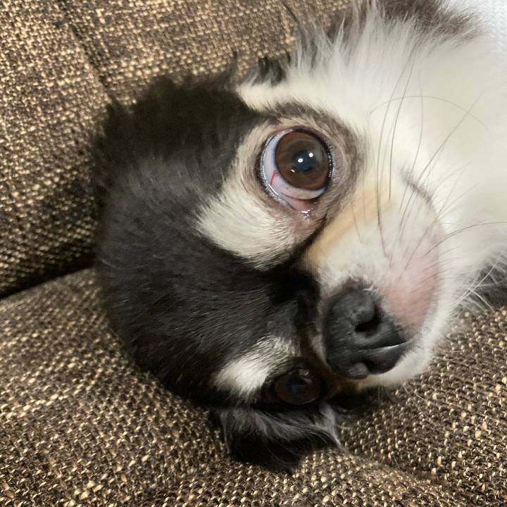 3b8eb026 4f50 4b0b a53d dc4042960073 1692543101118