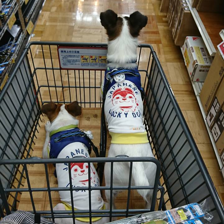 3b8ed347 3024 4540 a8dd ffc8d779acc9 1562993284596