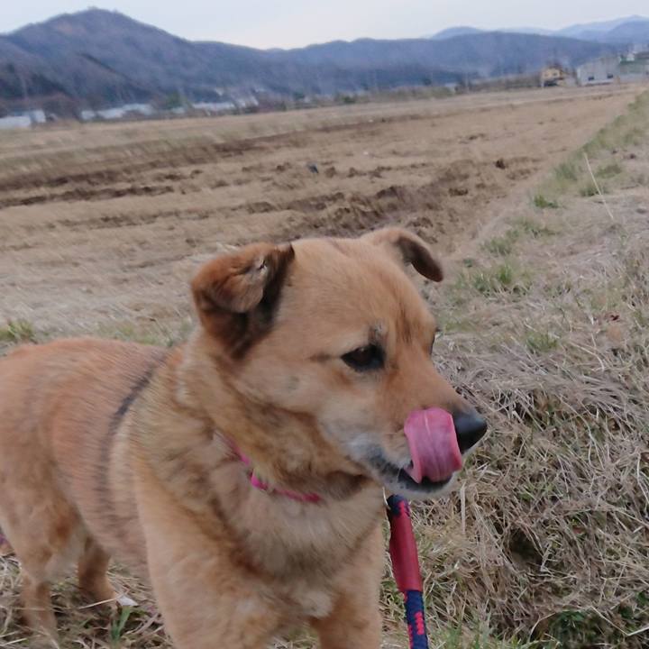 3b8f0f07 2a91 4247 9f3a 0efa575195c9 1615282753657