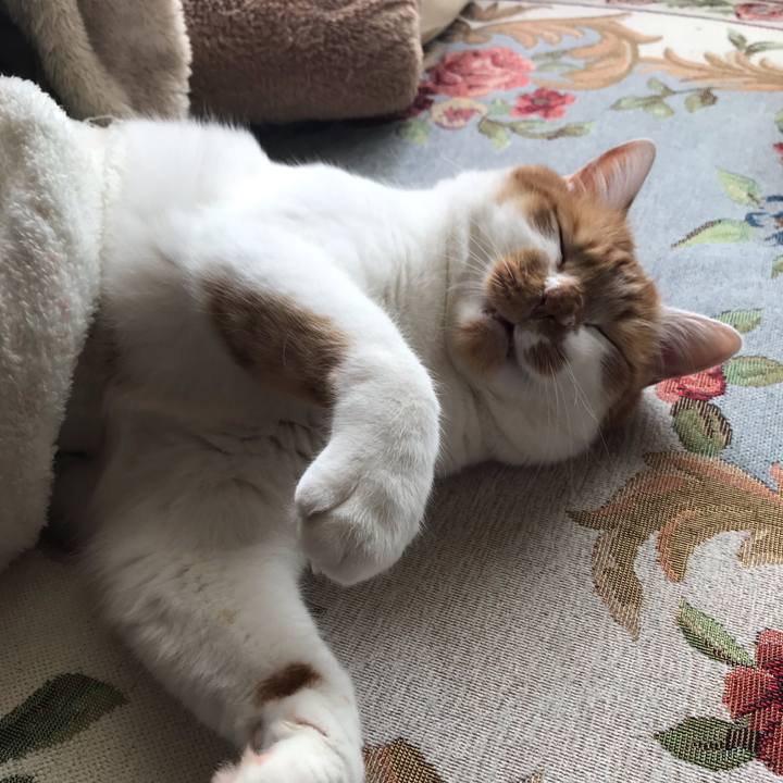 3b8f442f 5bd2 4c2c 82df 04f713d66969 1556854183955