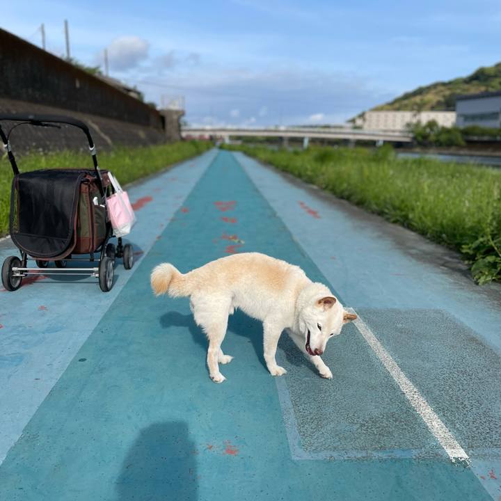 3b8f4b34 5ff7 466f a2c2 3d1472f33511 1650888210253