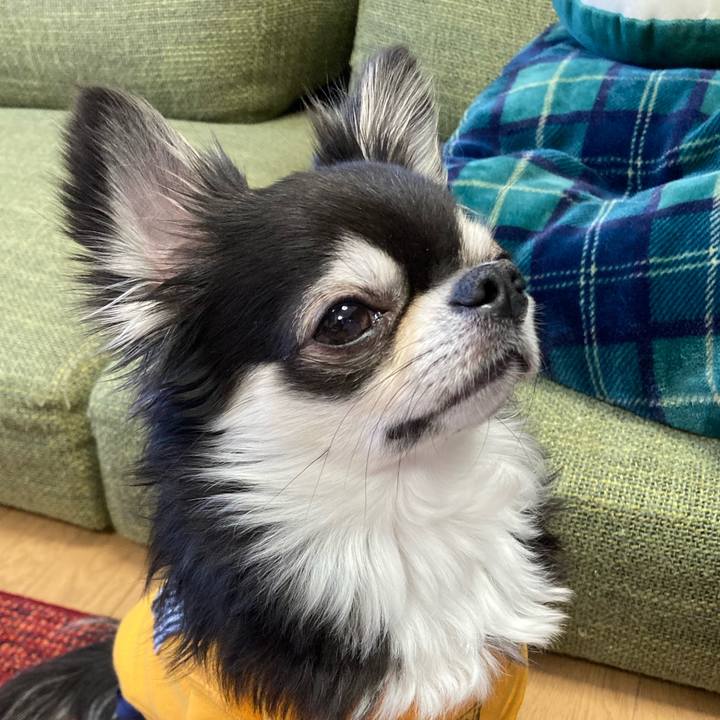 3b8f4c0b bd7f 4f76 9dad 27f057a55be4 1675608519322