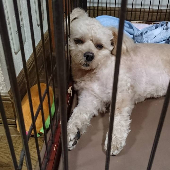 3b8f5308 474a 4bfc a225 fe6c26c9ac94 1570241753591