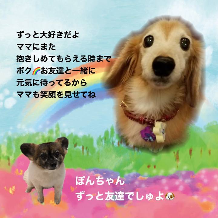 3b8f76dc c07f 4ce1 9b27 41117846aa7c 1615088295998