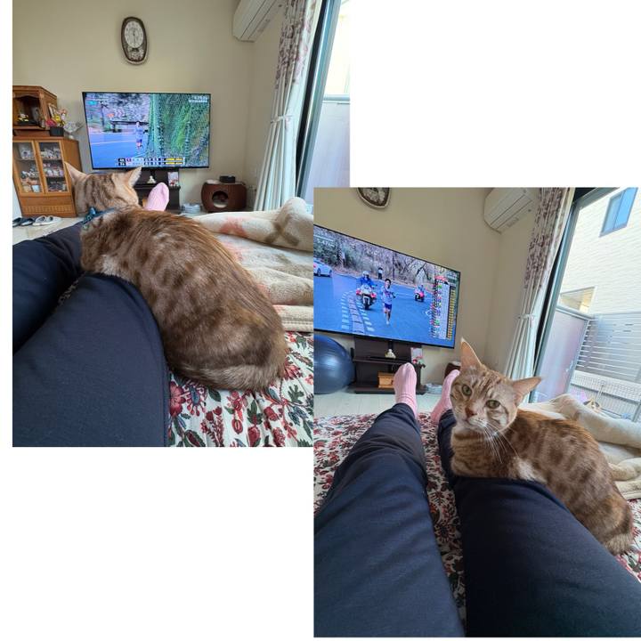 3b8fb853 d2d6 4520 9ad4 7e656c851f14 1735789030576