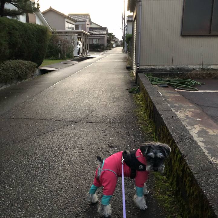 3b900ad9 efa6 4f49 8458 295a6706a18c 1702801255817