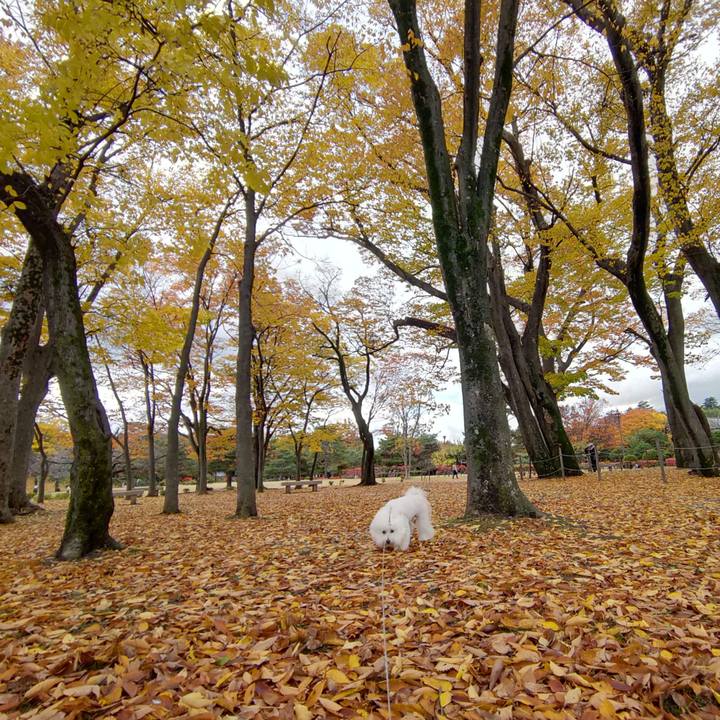 3b9026d9 061e 4812 a1ae 11fdbf314715 1762864943191