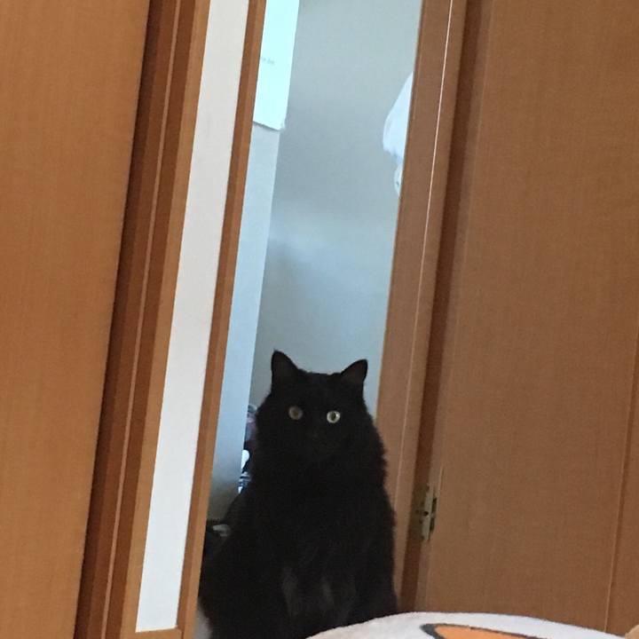 3b902c38 5b6e 48e3 98fb bb6b38cbd2d8 1531351133178