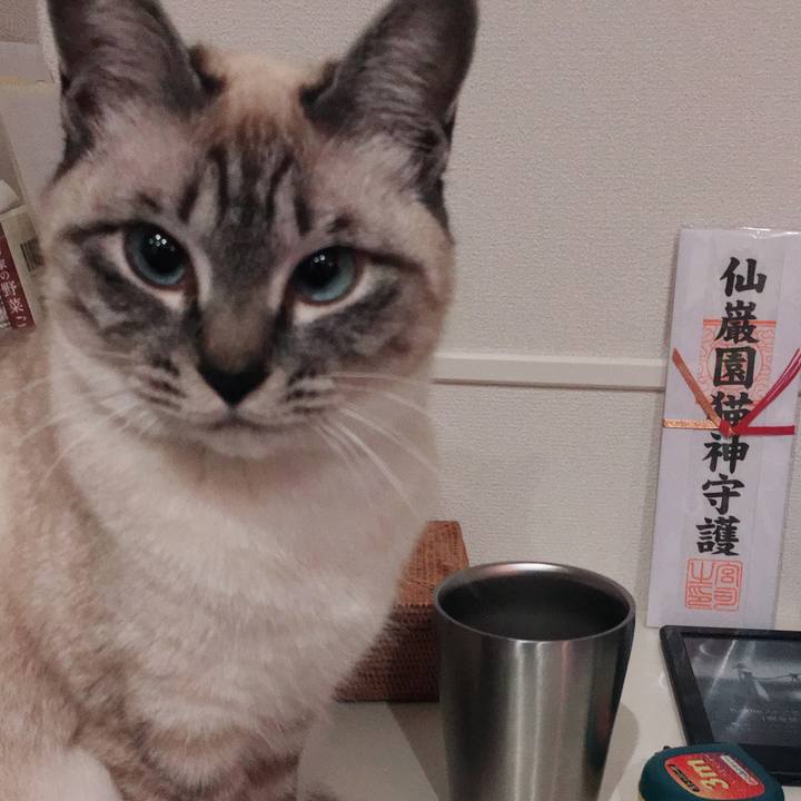 3b905309 ef29 4f9d ad58 6aa6da363d24 1554249465205