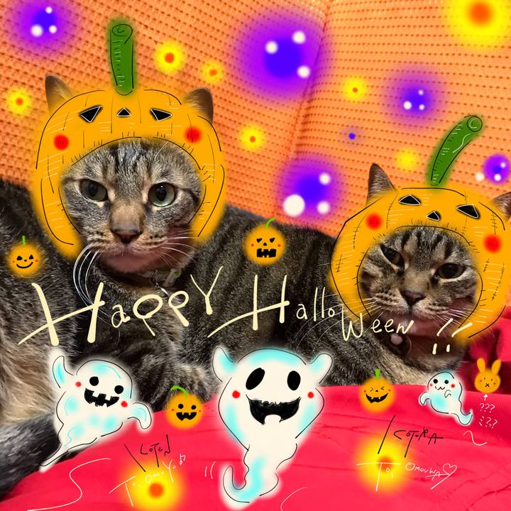 3b9092a0 8ba4 48c5 9aa0 5f8bf2d9506e 1635681855408