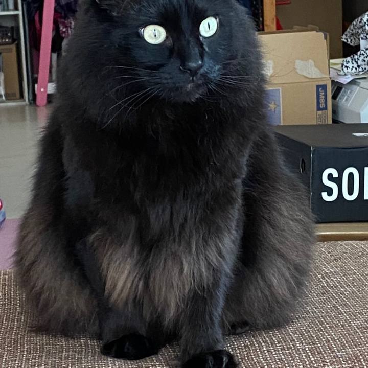 3b9093c7 ee35 4ba3 a299 12130a6596cf 1614839604873