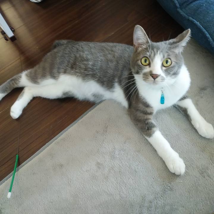 3b90a9f8 6d0c 466a ac68 4c0dc0036468 1590792299946