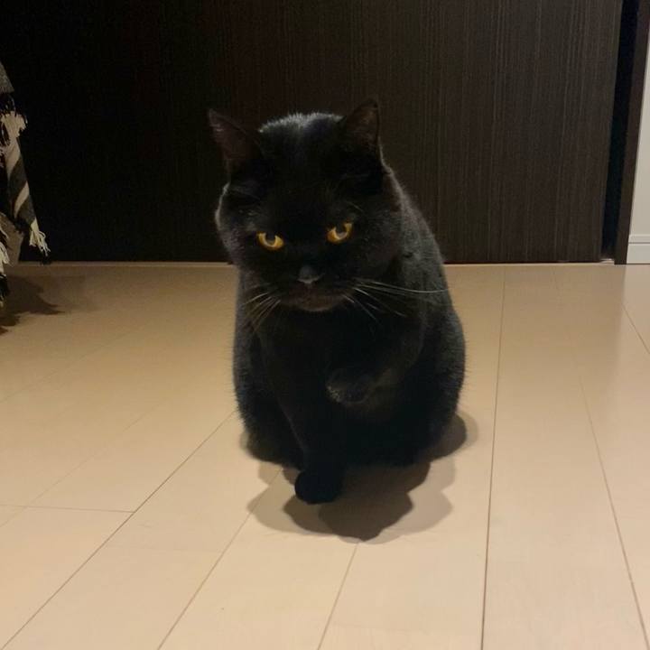 3b90b177 d2e3 4ba4 b89c 9f1c32f5d758 1764757815638