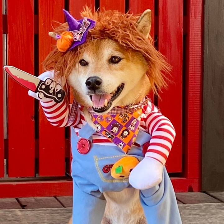 3b90cdd1 abc7 4be7 a0f1 86313b454ee0 1728908211596