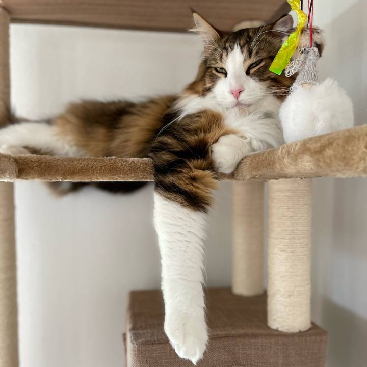 3b90d64d 3c1e 48b2 b398 02ed73048773 1654318769392