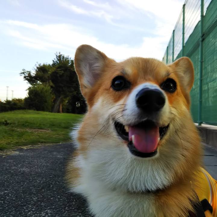 3b90d9f6 dcc1 435f 9c56 fe18fb3bf7cc 1537351405249