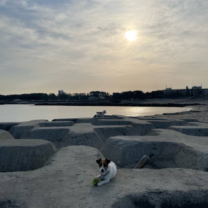 3b90e9fe 0a1d 48dd a8e2 91155922b1da 1646955236041