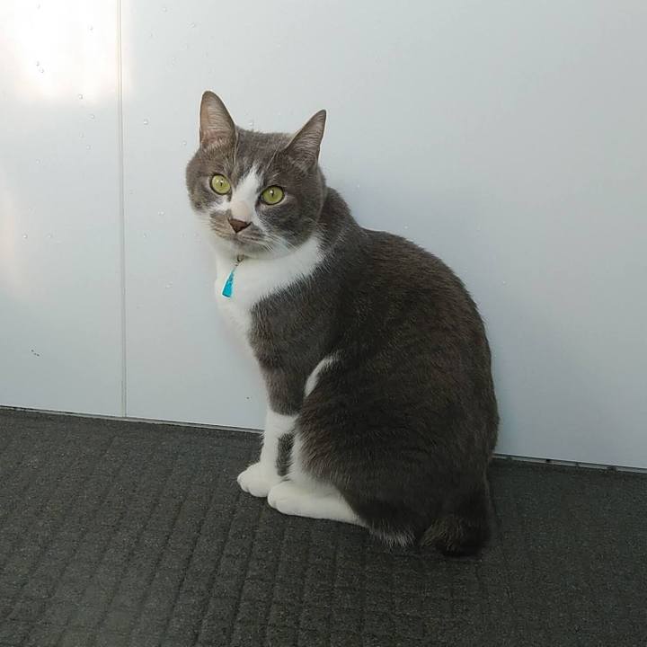 3b90fd8e 0f5c 4a92 84e0 030f5821afbf 1645859947615